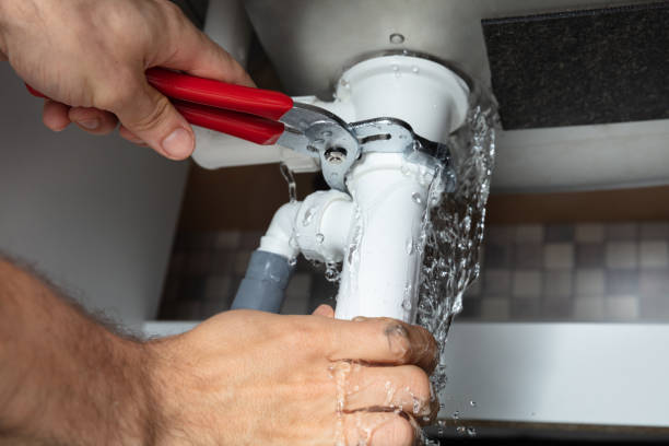 Best Flood damage cleanup  in Arlington, WA