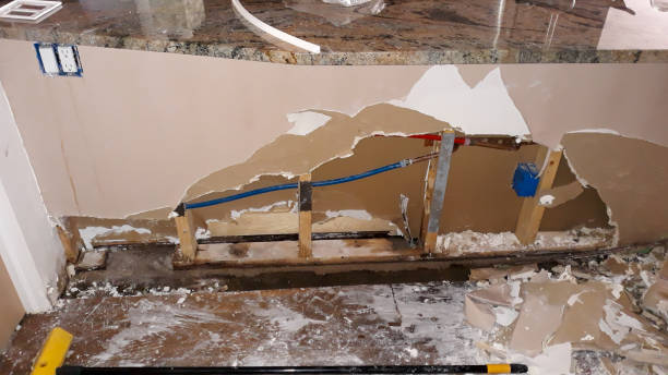 Best Water damage restoration near me  in Arlington, WA