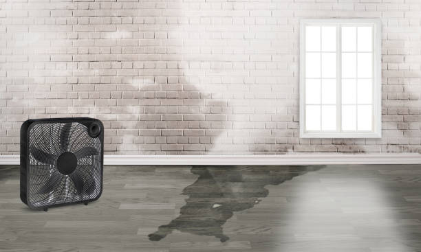 Best Commercial water damage restoration  in Arlington, WA