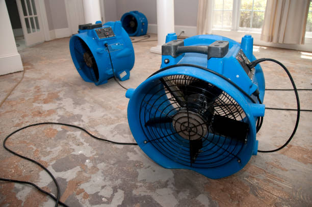 Best Mold removal after water damage  in Arlington, WA