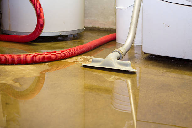  Arlington, WA Water damage restoration Pros