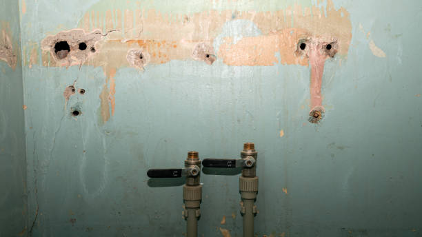 Best Residential water damage restoration  in Arlington, WA