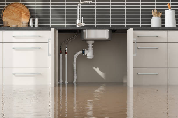 Best Flood restoration services  in Arlington, WA