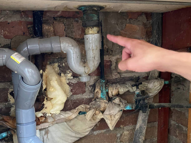 Best Water damage repair service  in Arlington, WA