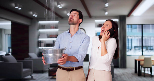 Best Mold removal after water damage  in Arlington, WA