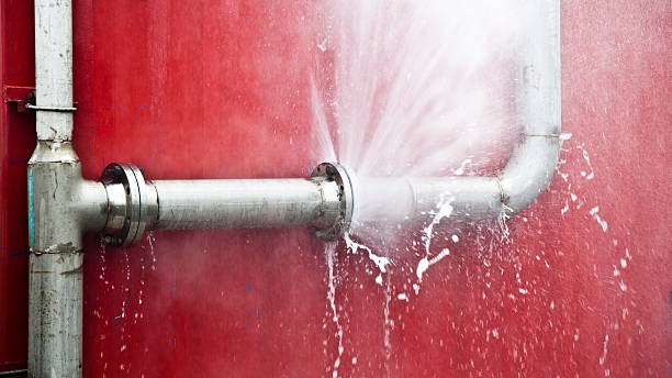 Best Sewage cleanup and water damage restoration  in Arlington, WA