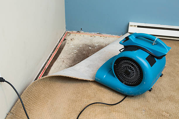 Best Basement water damage restoration  in Arlington, WA